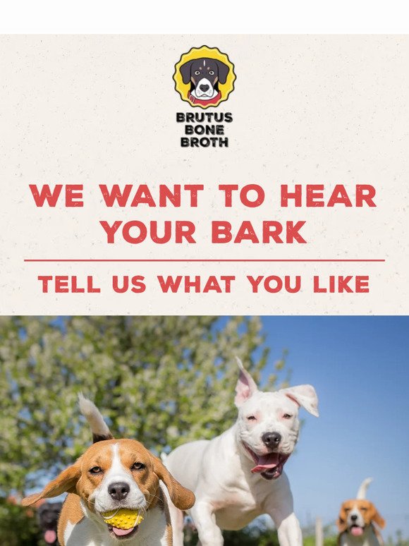 🐾 Help Us Tail-or Our Emails Just for You!