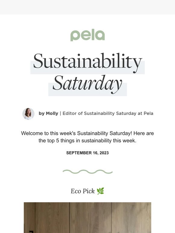 Sustainability Saturday |The Home Sustainability Cheat Sheet