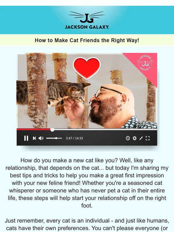 How to Make a Cat Like You 😻