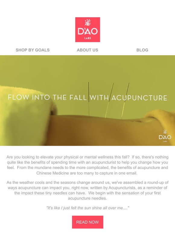 Flow into Fall With Acupuncture