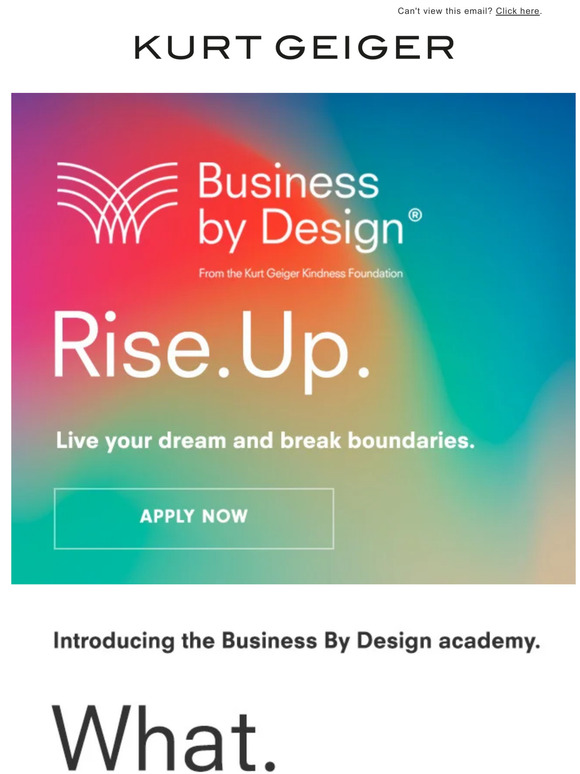 Business By Design Academy: Calling All Future Young Professionals