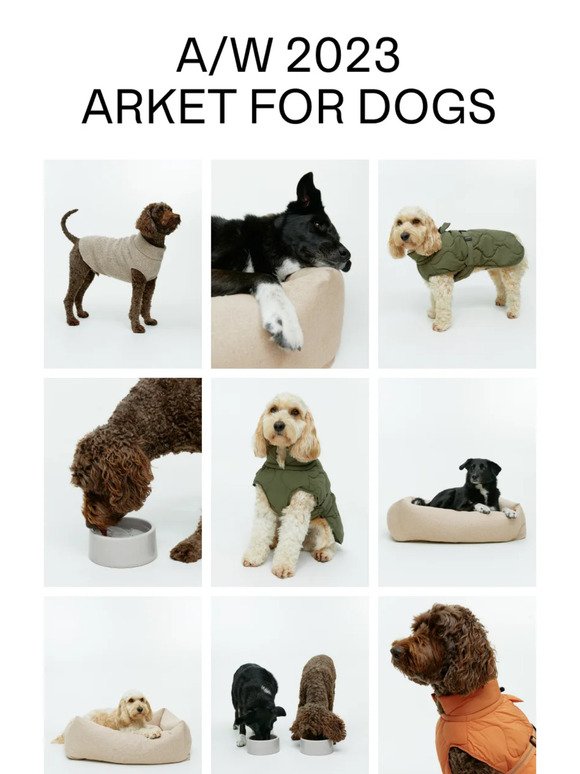 New collection – ARKET for dogs