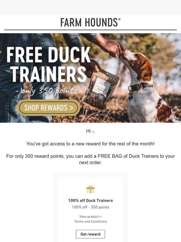 350pt = Duck Trainers