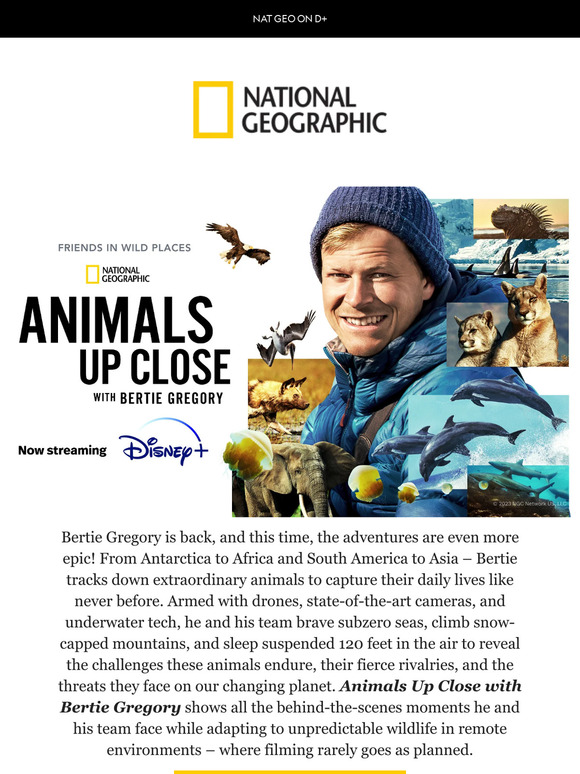 Filming animals rarely goes to plan. Watch how Bertie and his team do it