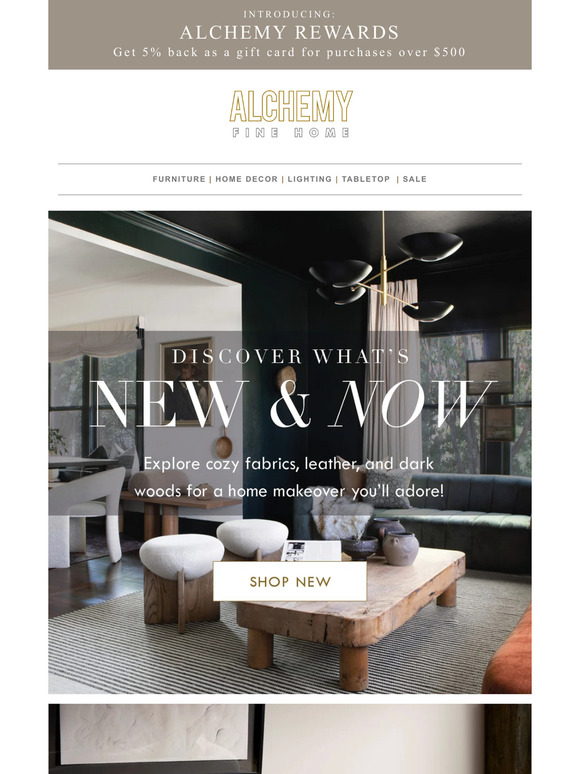 Discover What's New & Now! 🌟