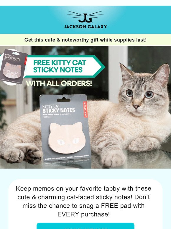 Don't Miss Your FREE Kitty Cat Sticky Notes!
