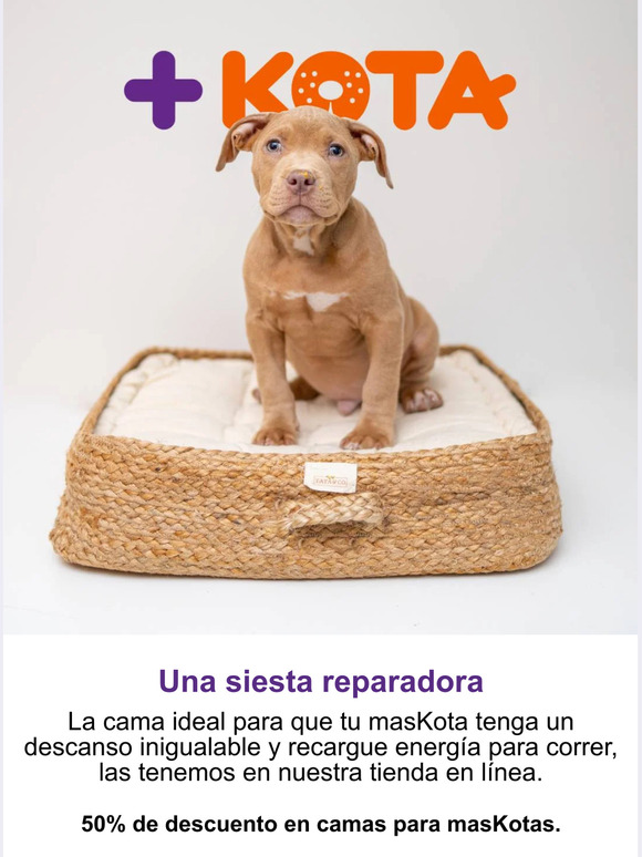 🐕Una siesta reparadora😴