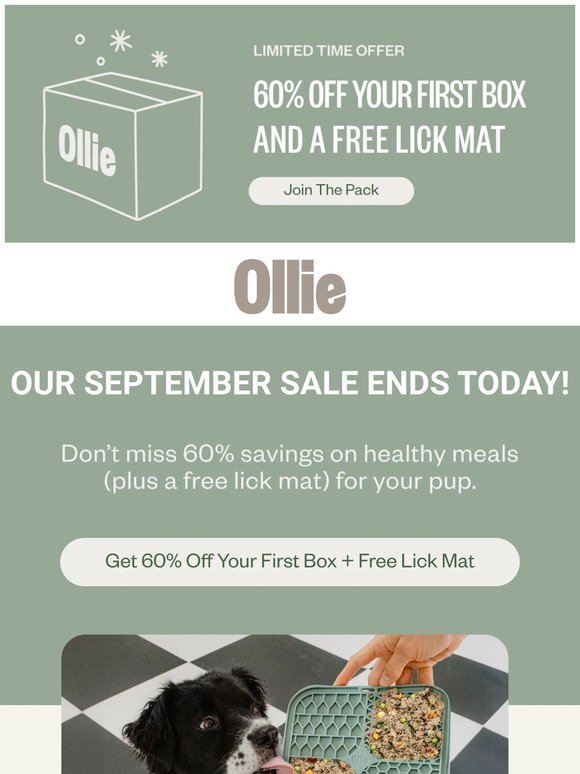 Don’t lose out on 60% off + a FREE lick mat! ⏳