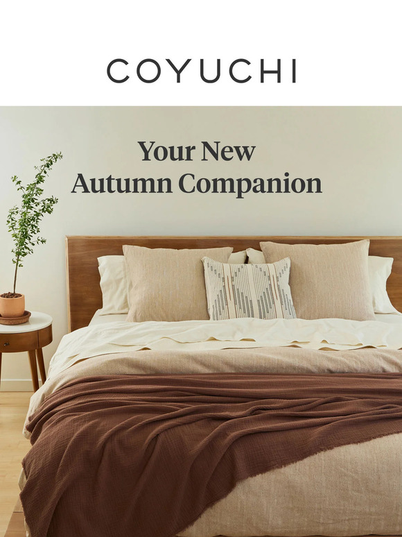 Your New Cozy Autumn Companion