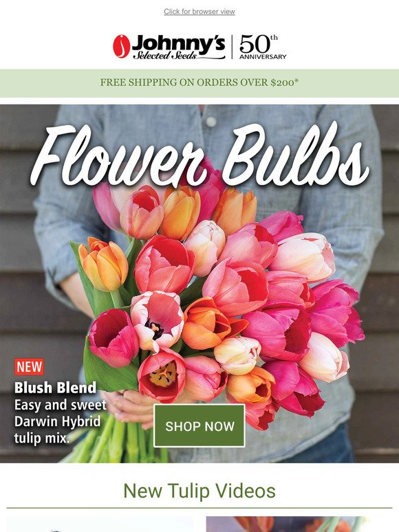 Order Now: Flower Bulbs Shipping Soon