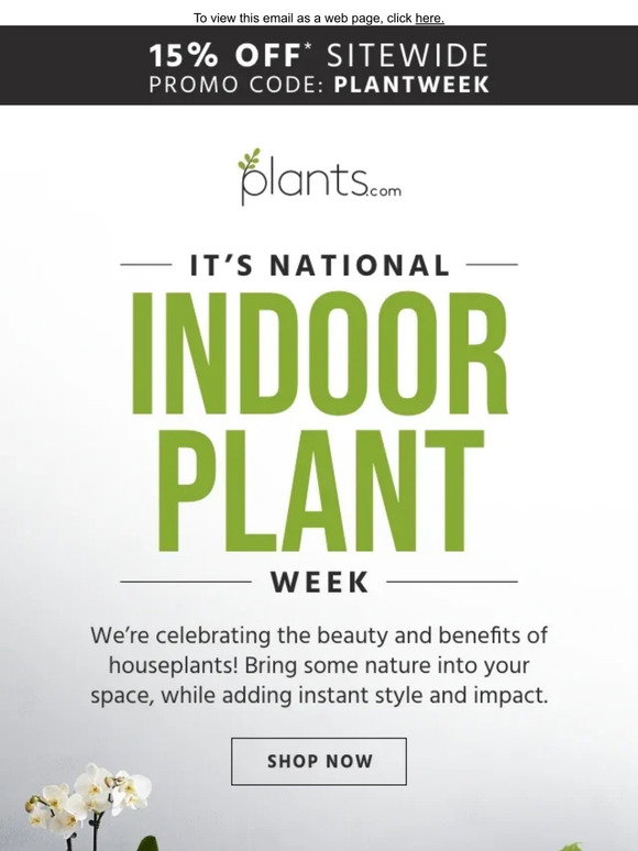 Plants 15 Off For National Indoor Plant Week Milled
