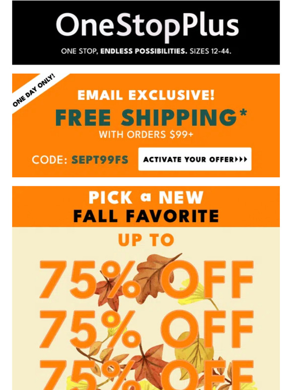 24 HOURS ONLY: Free shipping!