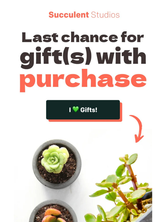 ❌❌ This is your LAST CHANCE for a FREE plant!