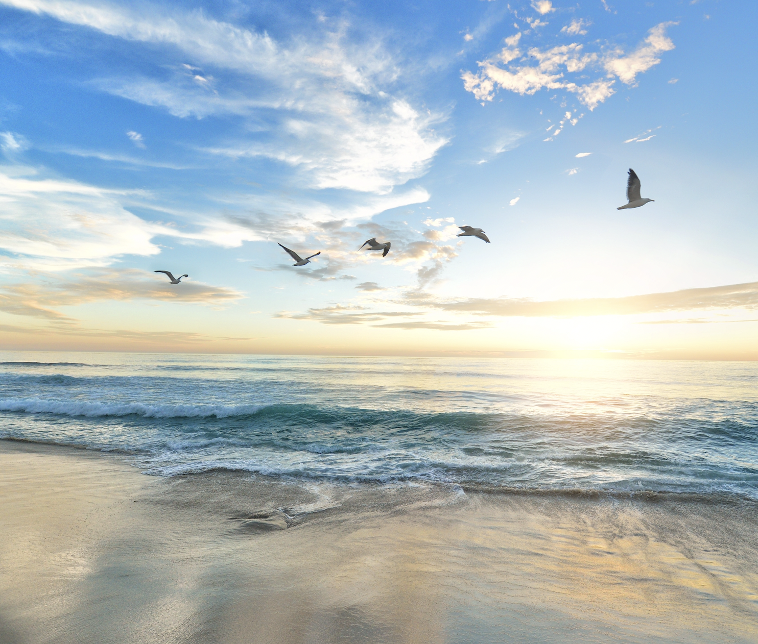 Explore Mexico's Beaches