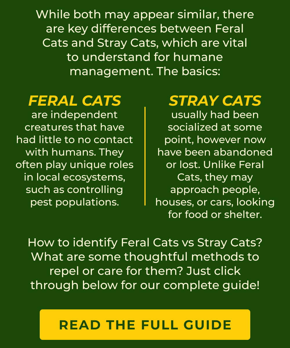 Read The Full Guide