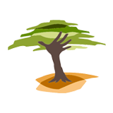 Eden Reforestation Prjects