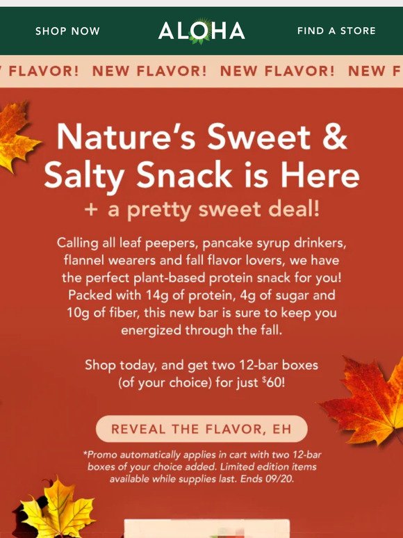 Cozy Fall, If It Were A Protein Bar