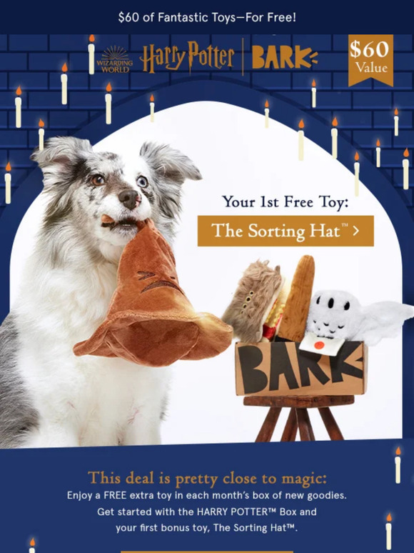 BarkBox 6 Bonus Toys + HARRY POTTER™ Box for nami 💫 Milled