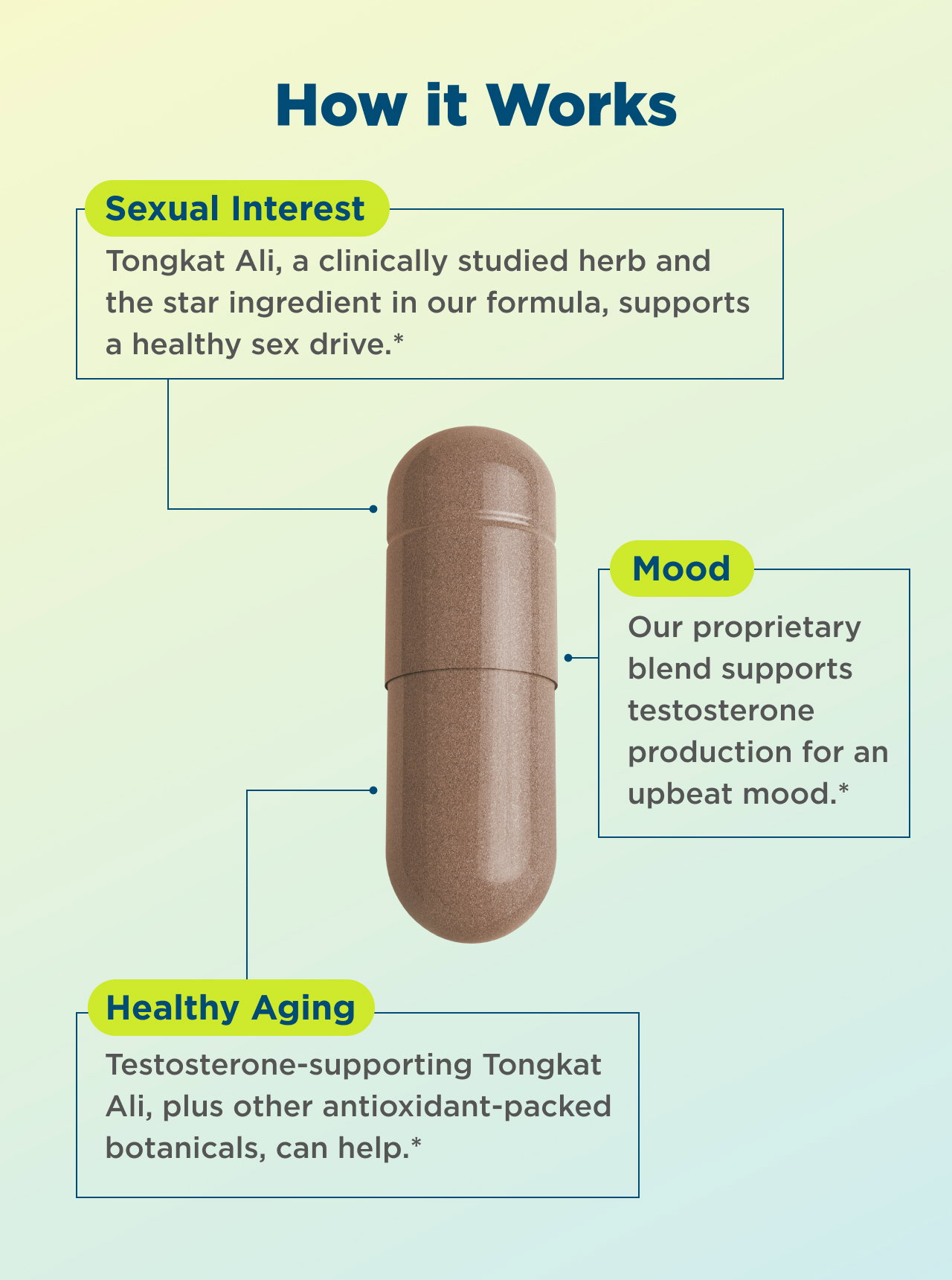 how it works. Sexual Interest   Tongkat Ali, a clinically studied herb and the star ingredient in our formula, supports a healthy sex drive.**      Mood   Our proprietary blend supports testosterone production for an upbeat mood.**      Healthy Ageing   Testosterone-supporting Tongkat Ali, plus other antioxidant-packed botanicals, can help. ** 