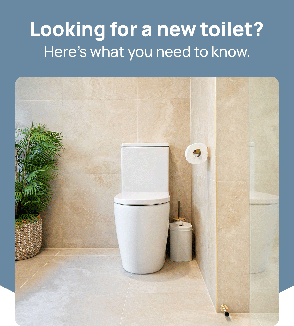 Bathroom Warehouse How to choose the right toilet, —? 🤔 Milled