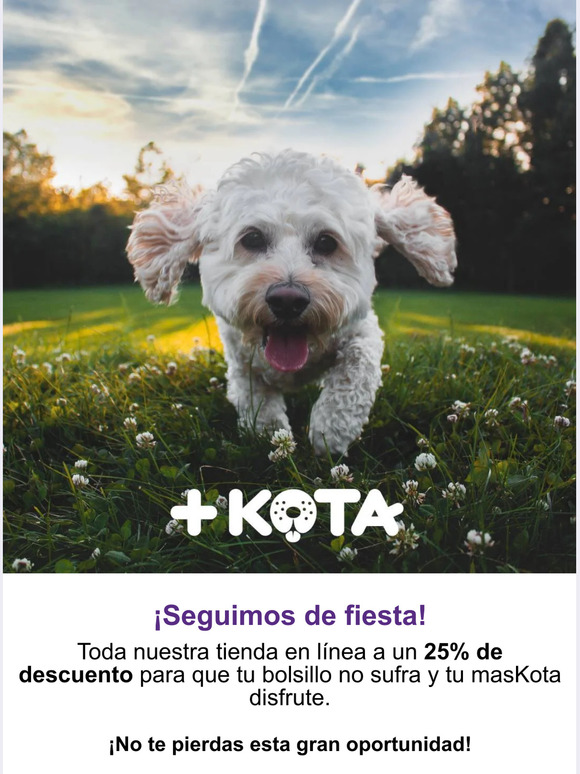 Seguimos de fiesta en +KOTA🐕