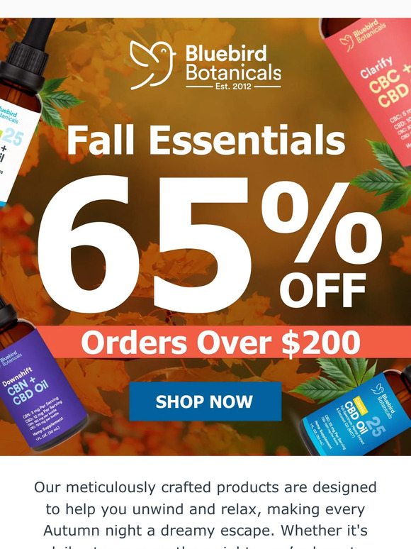 Embrace fall with 65% OFF 🍂