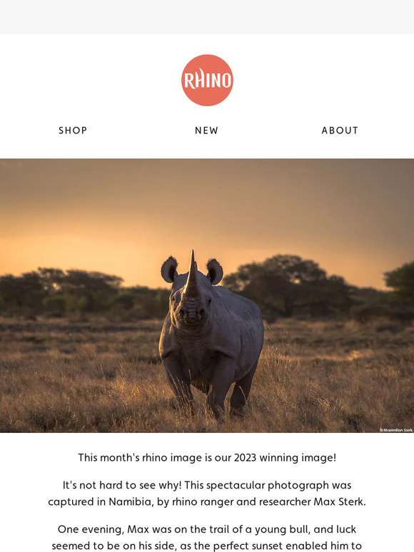Rhino Stationery 📸 Discover the Spectacular 2023 Winning Rhino Image