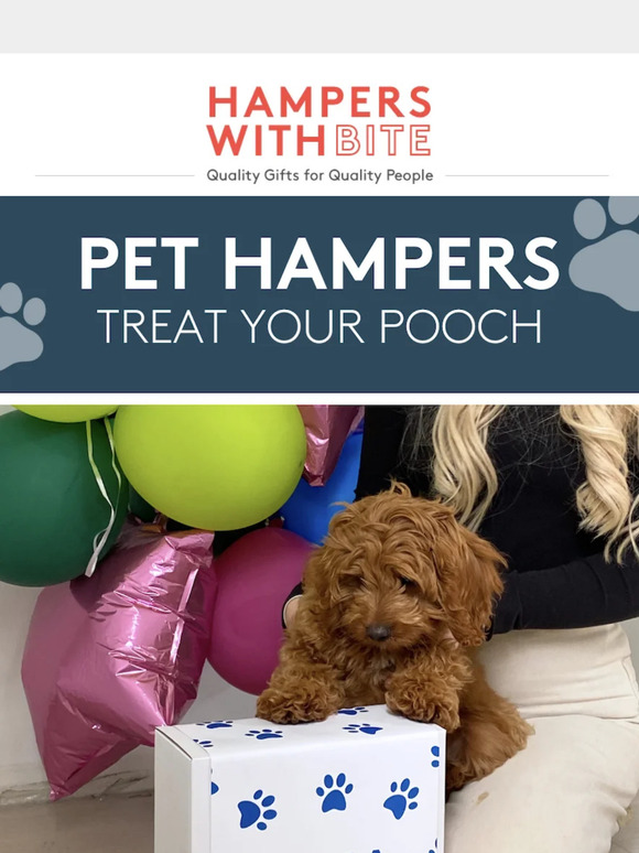 Pet Hampers for Happy Tails 🐾