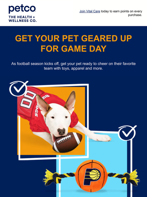 Your dog can get ready for the big game with the help of Petco