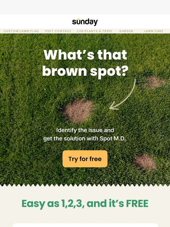 🤔 Brown spots? Let's fix it together!