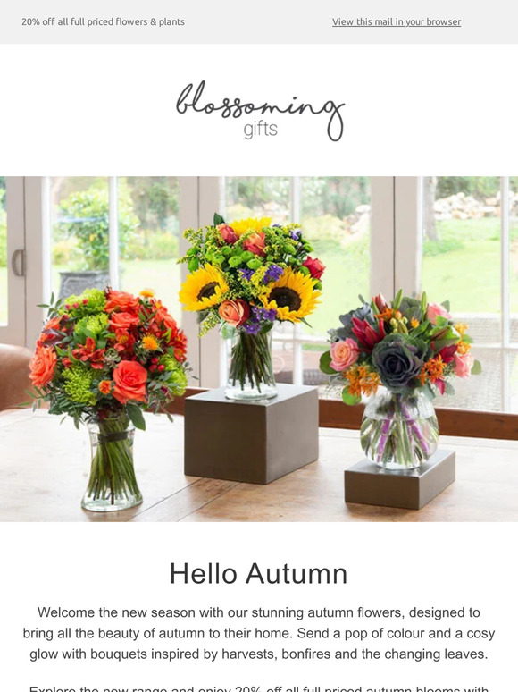 New In: Autumn Flowers Collection