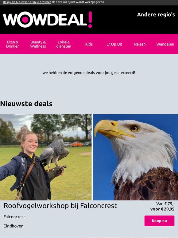 Roofvogelworkshop bij Falconcrest | Wandelarrangement met borrelplank of 12-uurtje bij Herberg Thijssen