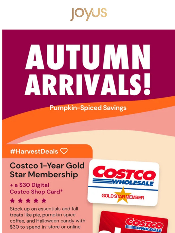 🎃 Our BEST Fall Deals 🍂