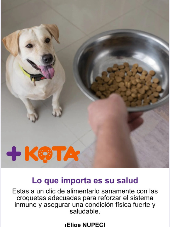 🐈¡Lo que importa es su salud!🐕