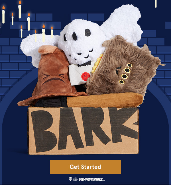 nana's HARRY POTTER™ Box is here + 6 FREE Toys 💫 Milled