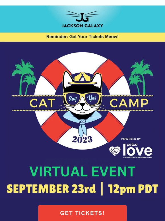 Cat Camp is Coming, This Saturday!