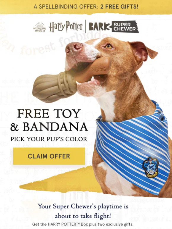 BarkBox 🚨 2 Free Gifts With Your Dog's HARRY POTTER™ Box 🚨 Milled