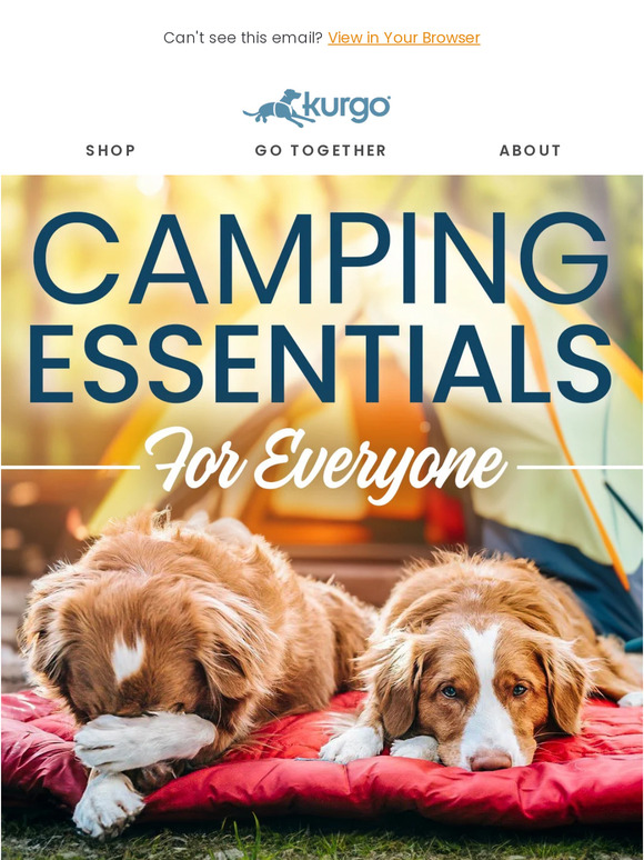 Camping Essentials for Everyone