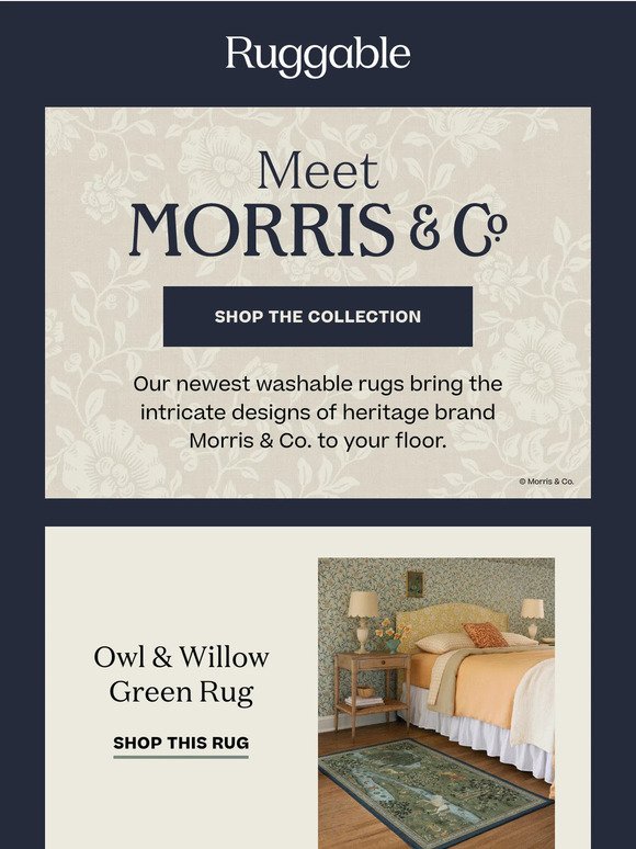 Get to Know Morris & Co.