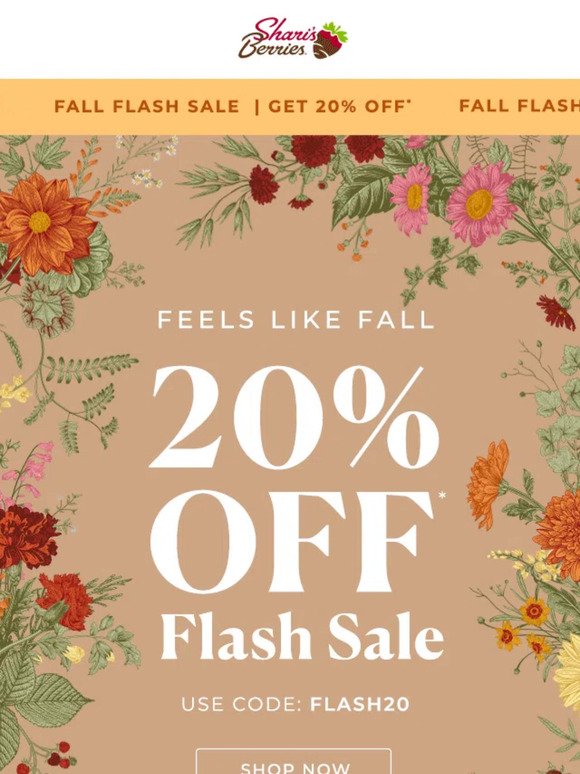 Flash Sale Alert: 20% OFF Today