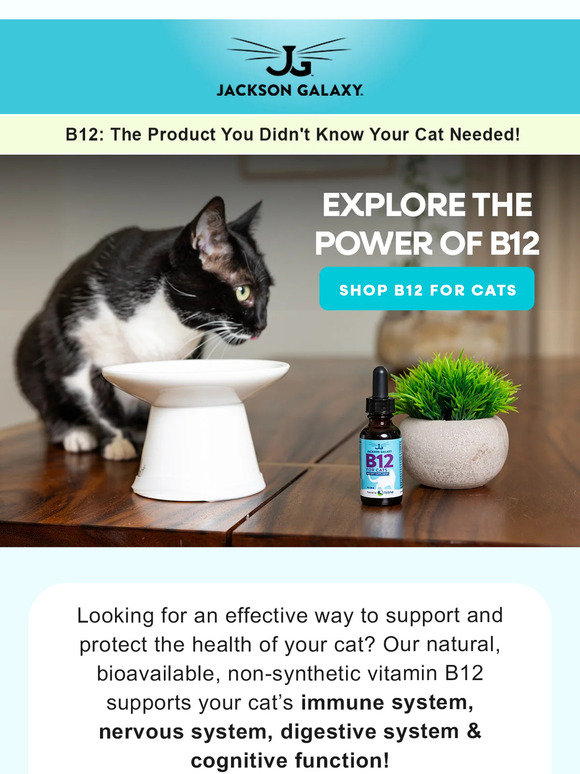 B12 For the Love of Cats