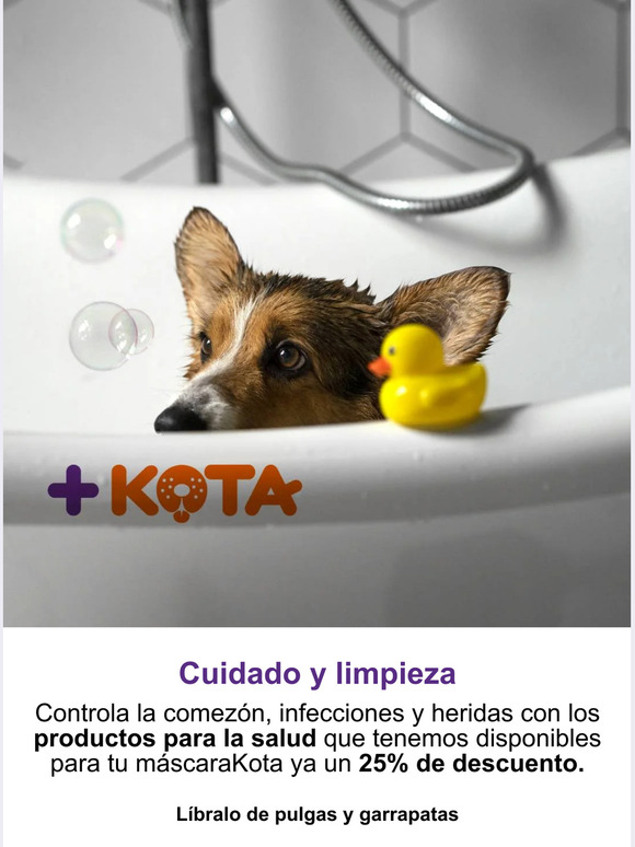 Cuidado y limpieza para tu masKota🐕🛁