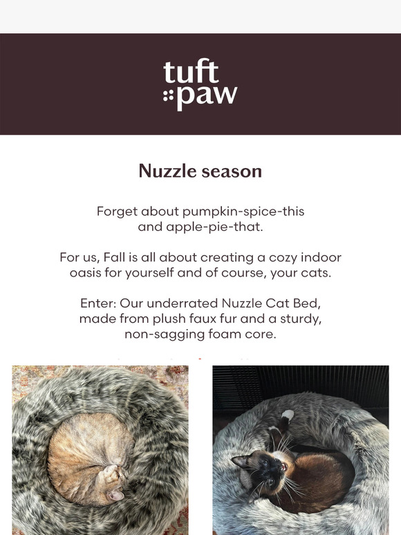 tuft and paw Found The coziest location📍 Milled