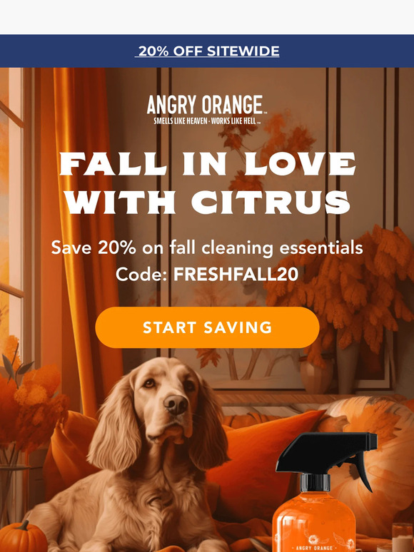 Have you started fall cleaning? 🍊