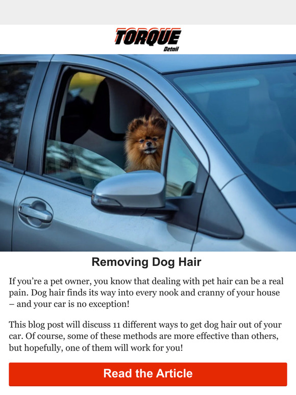 Torque Detail 11 ways to get dog hair out of your car Milled