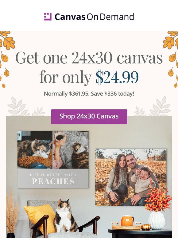 Snag a 24x30 canvas for $25 ➡️ You're saving $336! 😱