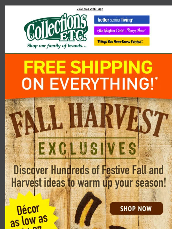 The Colors of Fall: Explore our Fall Harvest Selection 🍂🍁