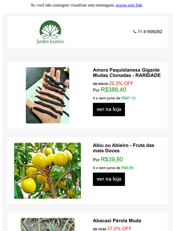 Deixando a chance passar de novo?!