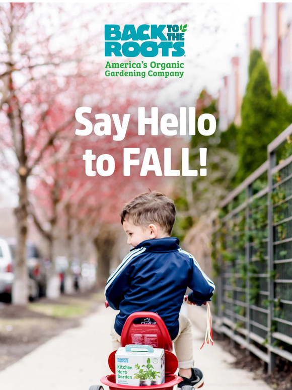 Welcome to Fall (and Fall veggies! 🥕🌿🥔)