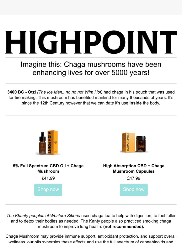 Chaga Mushroom